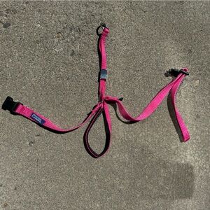 Gentle leader Size Large (dogs 60-130 lbs.) Color: Raspberry used like new